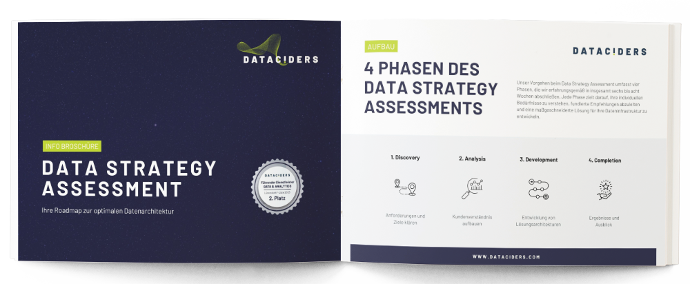 Vorschaubild der Broschüre zum Data Strategy Assessment