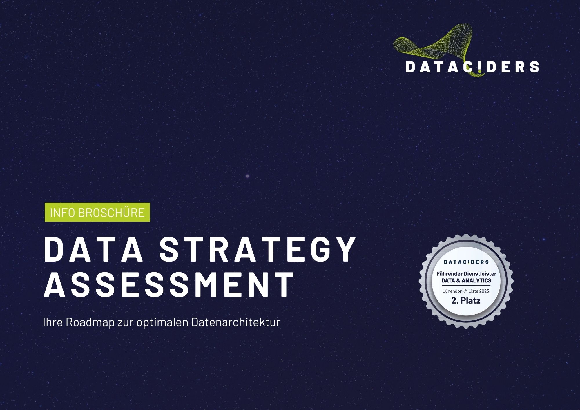 Titelbild der Data Strategy Assessment Info-Broschüre