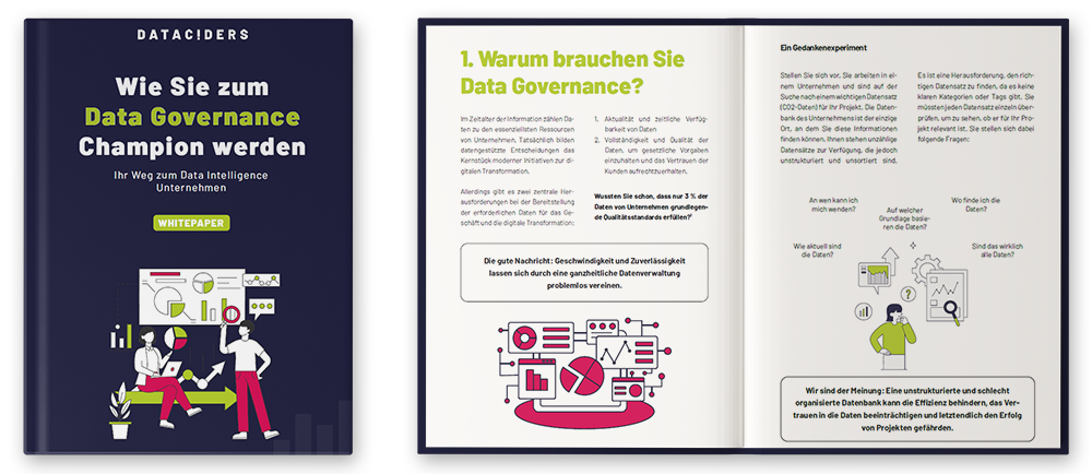 Vorschaubild Whitepaper Data Governance