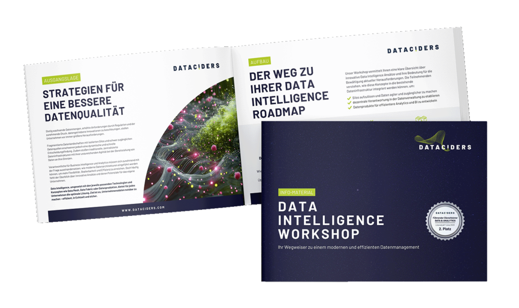 Data Intelligence Workshop Vorschau Info-Material