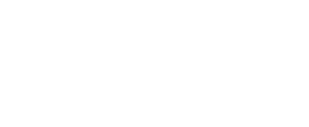 SAS Logo