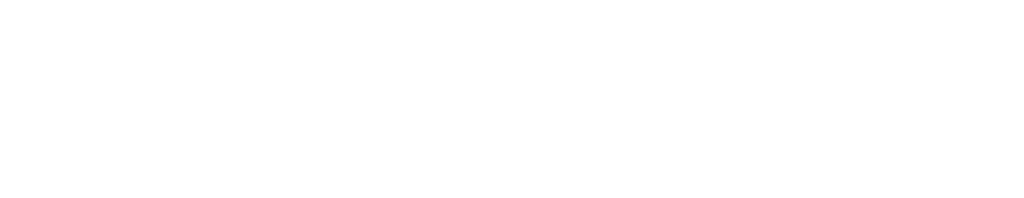 Logo von Databricks, Partner von Dataciders
